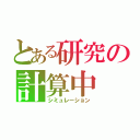 とある研究の計算中（シミュレーション）