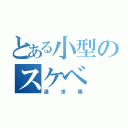 とある小型のスケベ（追求隊）