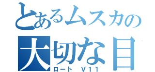 とあるムスカの大切な目（ロート Ｖ１１）