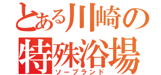 とある川崎の特殊浴場（ソープランド）