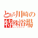 とある川崎の特殊浴場（ソープランド）