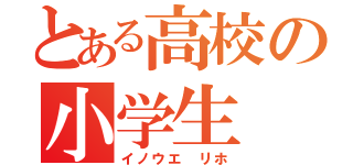 とある高校の小学生（イノウエ リホ）