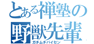 とある禅塾の野獣先輩（ガチムチパイセン）