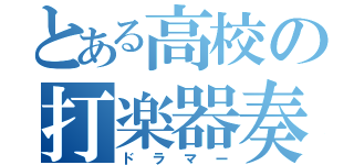 とある高校の打楽器奏者（ドラマー）