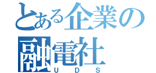 とある企業の融電社（ＵＤＳ）