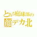 とある庭球部の顔デカ北瓜（）