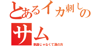 とあるイカ刺しのサム（刺身じゃなくて漁の方）