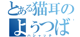 とある猫耳のようつばー（ハシャッチ）