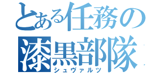 とある任務の漆黒部隊（シュヴァルツ）