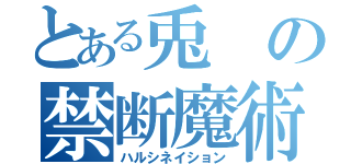 とある兎の禁断魔術（ハルシネイション）