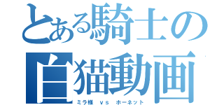 とある騎士の白猫動画録（ミラ様 ｖｓ ホーネット）