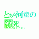 とある河童の溺死（カワナガレ）