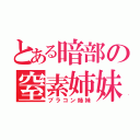 とある暗部の窒素姉妹（ブラコン姉妹）