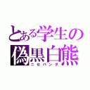 とある学生の偽黒白熊（ニセパンダ）