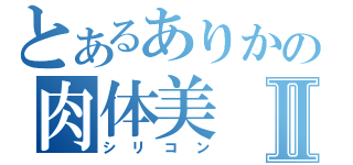 とあるありかの肉体美Ⅱ（シリコン）