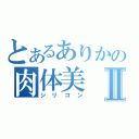 とあるありかの肉体美Ⅱ（シリコン）