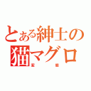 とある紳士の猫マグロ（変態）