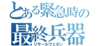 とある緊急時の最終兵器（リサールウェポン）