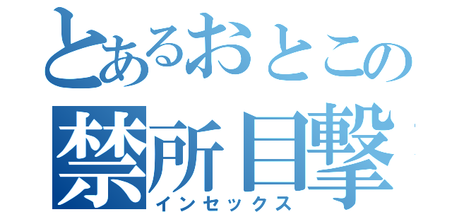 とあるおとこの禁所目撃（インセックス）