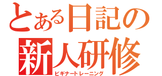 とある日記の新人研修（ビギナートレーニング）