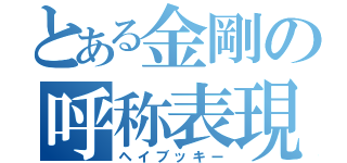 とある金剛の呼称表現（ヘイブッキー）