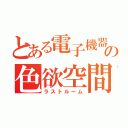 とある電子機器の色欲空間（ラストルーム）