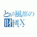 とある風都の財団Ｘ（加頭順）