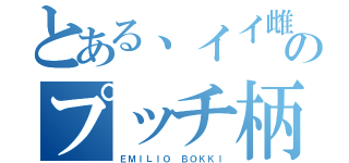 とある、イイ雌のプッチ柄（ＥＭＩＬＩＯ ＢＯＫＫＩ）