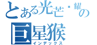 とある光芒闪耀の巨星猴（インデックス）