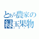 とある農家の緑玉果物（メロン）