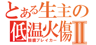 とある生主の低温火傷Ⅱ（鼓膜ブレイカー）