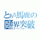 とある馬鹿の臨界突破（オーバーフロー）