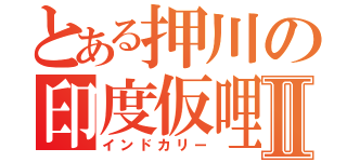 とある押川の印度仮哩Ⅱ（インドカリー）