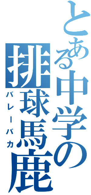 とある中学の排球馬鹿（バレーバカ）