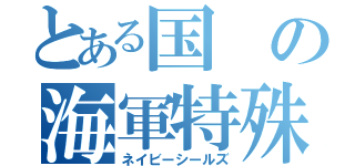 とある国の海軍特殊部隊（ネイビーシールズ）