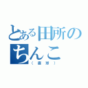 とある田所のちんこ（（直球））