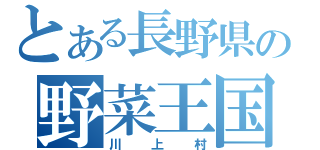 とある長野県の野菜王国（川上村）