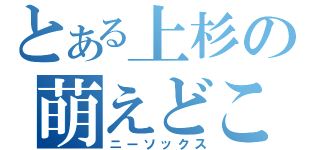 とある上杉の萌えどころ（ニーソックス）