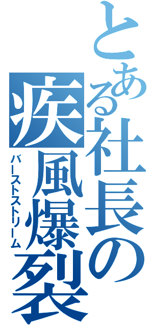 とある社長の疾風爆裂（バーストストリーム）