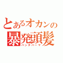 とあるオカンの暴発頭髪（パンチパーマ）