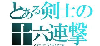 とある剣士の十六連撃（スターバーストストリーム）