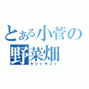 とある小菅の野菜畑（モジャモジャ）