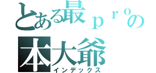 とある最ｐｒｏの本大爺（インデックス）