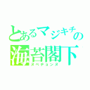 とあるマジキチの海苔閣下（ヌベヂョンヌ）