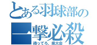 とある羽球部の一撃必殺（待ってろ、県大会）