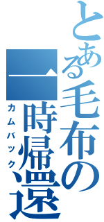 とある毛布の一時帰還（カムバック）