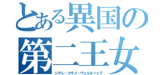 とある異国の第二王女（ジグレ・コサメ・ヴェルネツェラ）