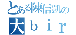 とある陳信凱の大ｂｉｒｄ（）