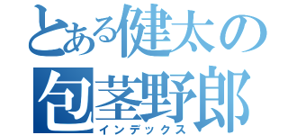 とある健太の包茎野郎（インデックス）