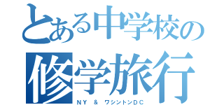 とある中学校の修学旅行（ＮＹ ＆ ワシントンＤＣ）